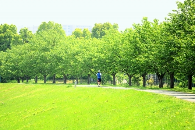 7e47db3ebd84a2f5bcf67d3cd6c70423_s.jpg